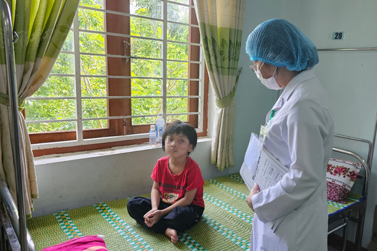 Giao mùa, lo ngại kiến ba khoang