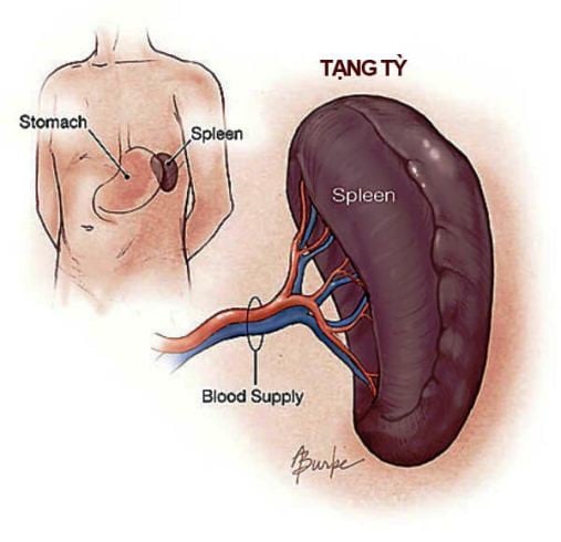 Hóa giải đau đầu, đau khớp do thời tiết cuối mùa hạ cách gì?